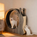 Cat Exercise Wheel