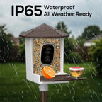 Bird Feeder with Camera