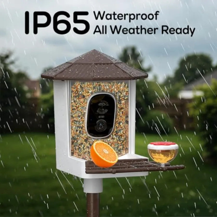 Bird Feeder with Camera