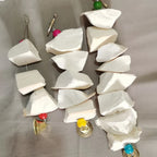 Cuttlefish Bone Chewing Toys