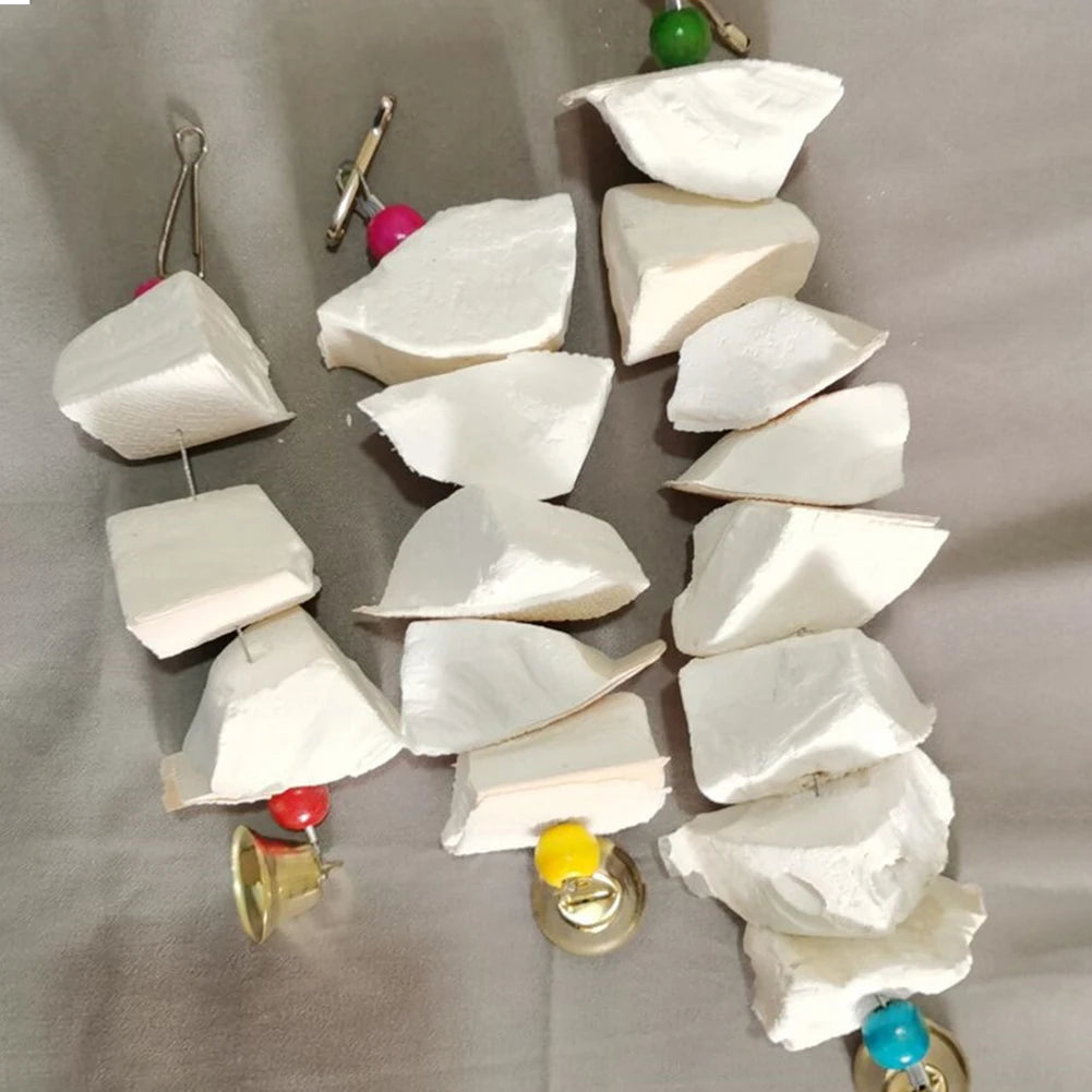 Cuttlefish Bone Chewing Toys