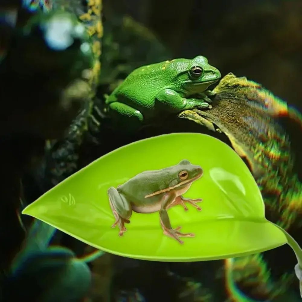 Frog Habitat Leaf Suction Cups