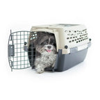 Dog Kennel Airline Friendly