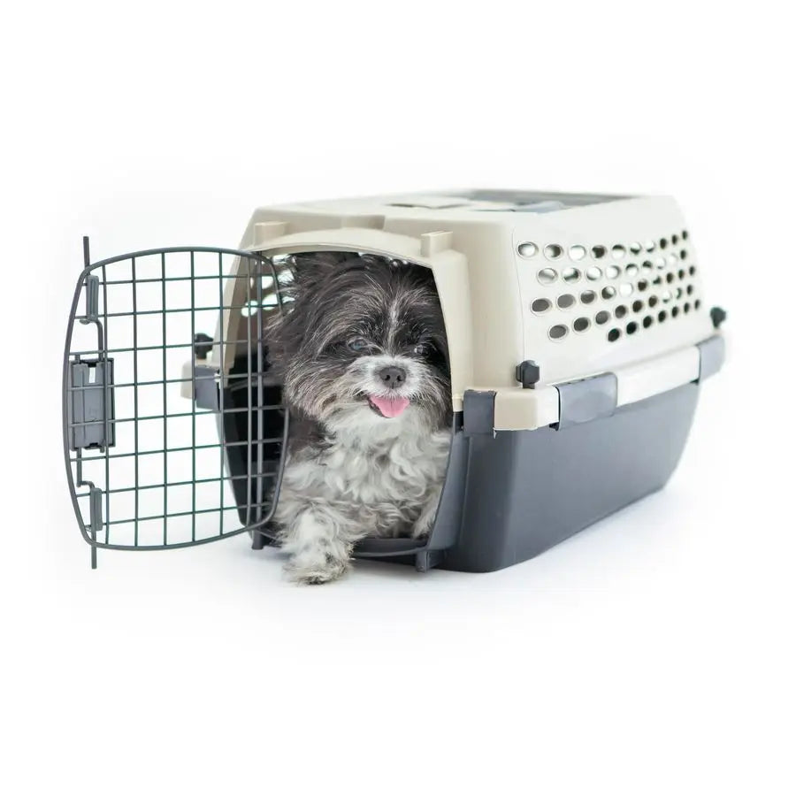 Dog Kennel Airline Friendly