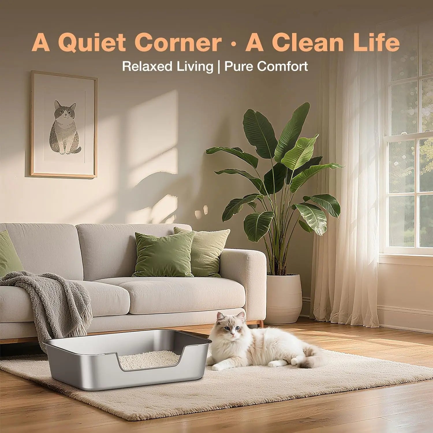 Low Entry Cat Litter Box