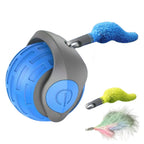 Cat Interactive Ball Toys