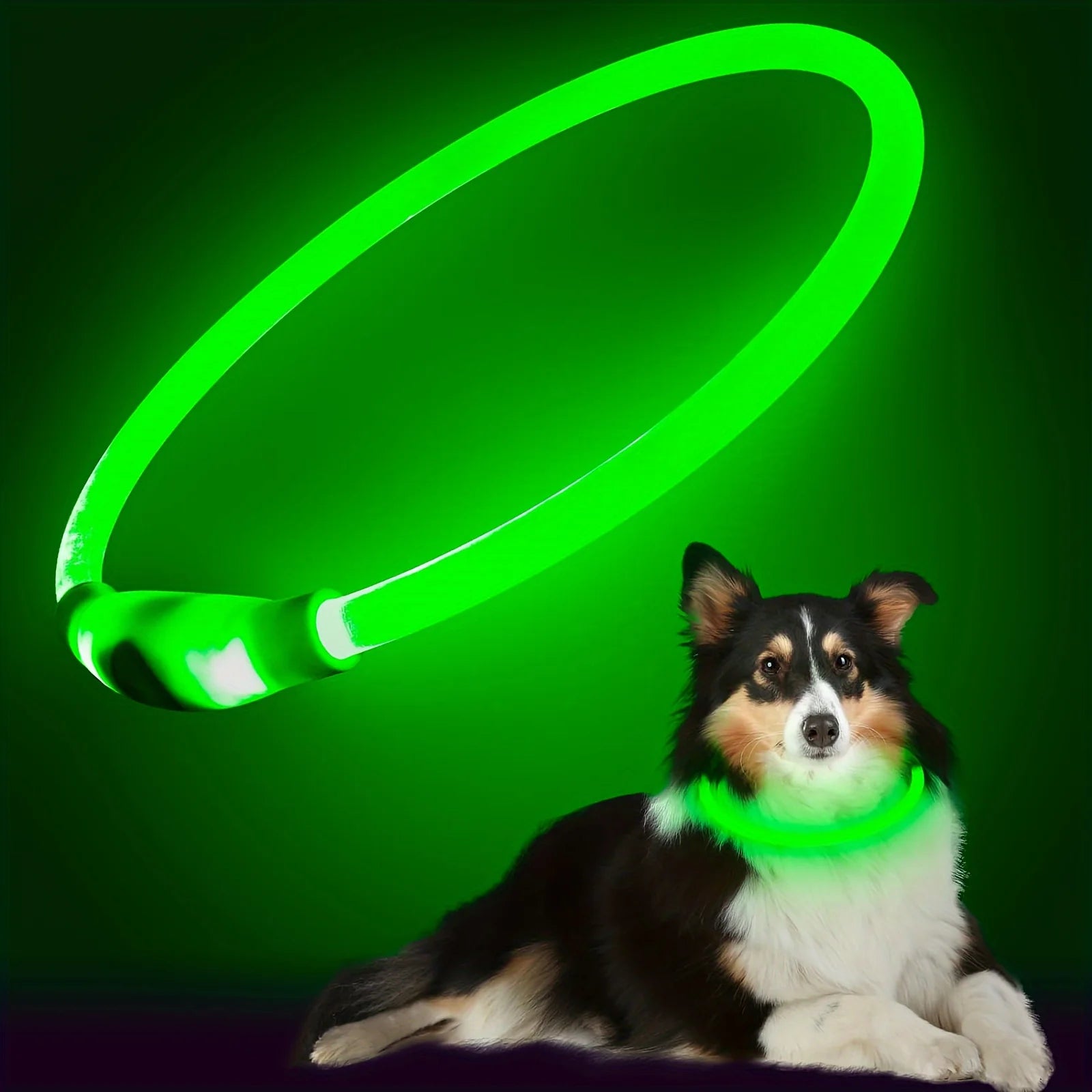 Dog LED Light Collar