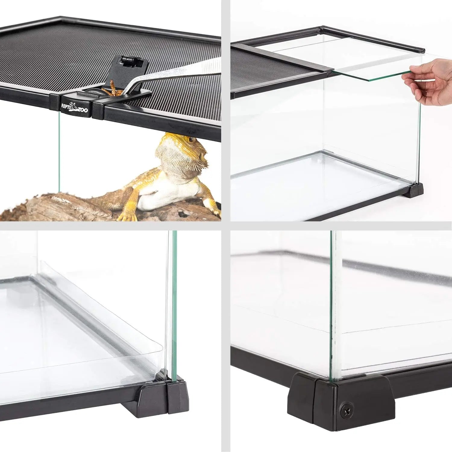 20 Gallon Glass Terrarium