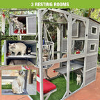 Cat Enclosure 76.8"
