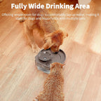 5L Transparent Pet Water Fountain
