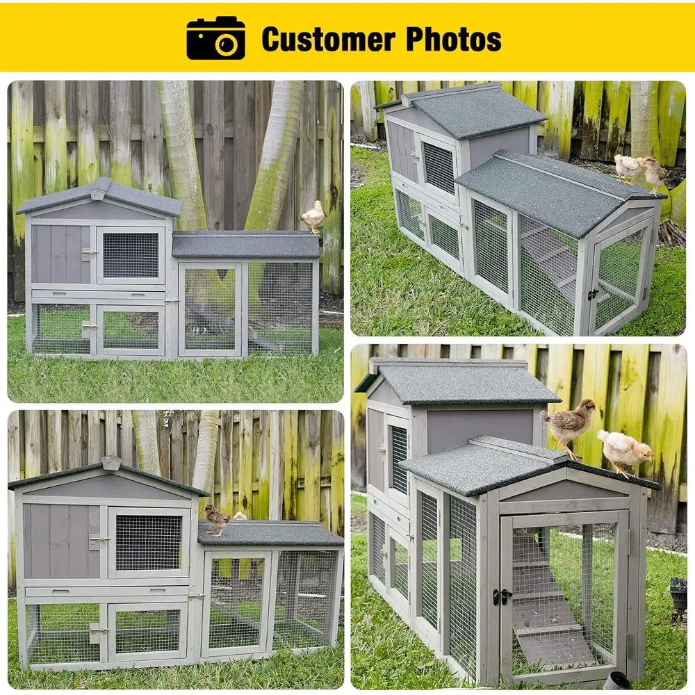 Chicken Coop for 2 Hens