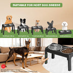 Elevated Dog Bowls