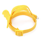 Bird Harness/Leash Training