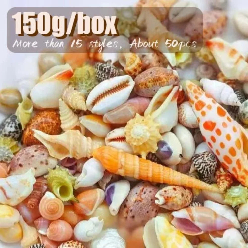 Floating Quicksand Colorful Sea Shells