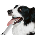 Ultrasonic Toothbrush