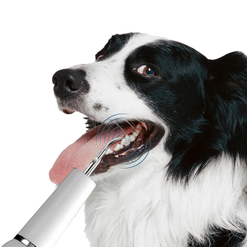 Ultrasonic Toothbrush