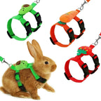 Rabbit/Cat Harness/Leash Set
