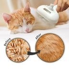 Spray Hair Remover Cleaning Brush