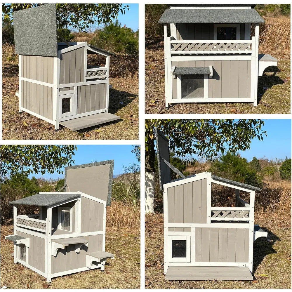 feral cat shelter