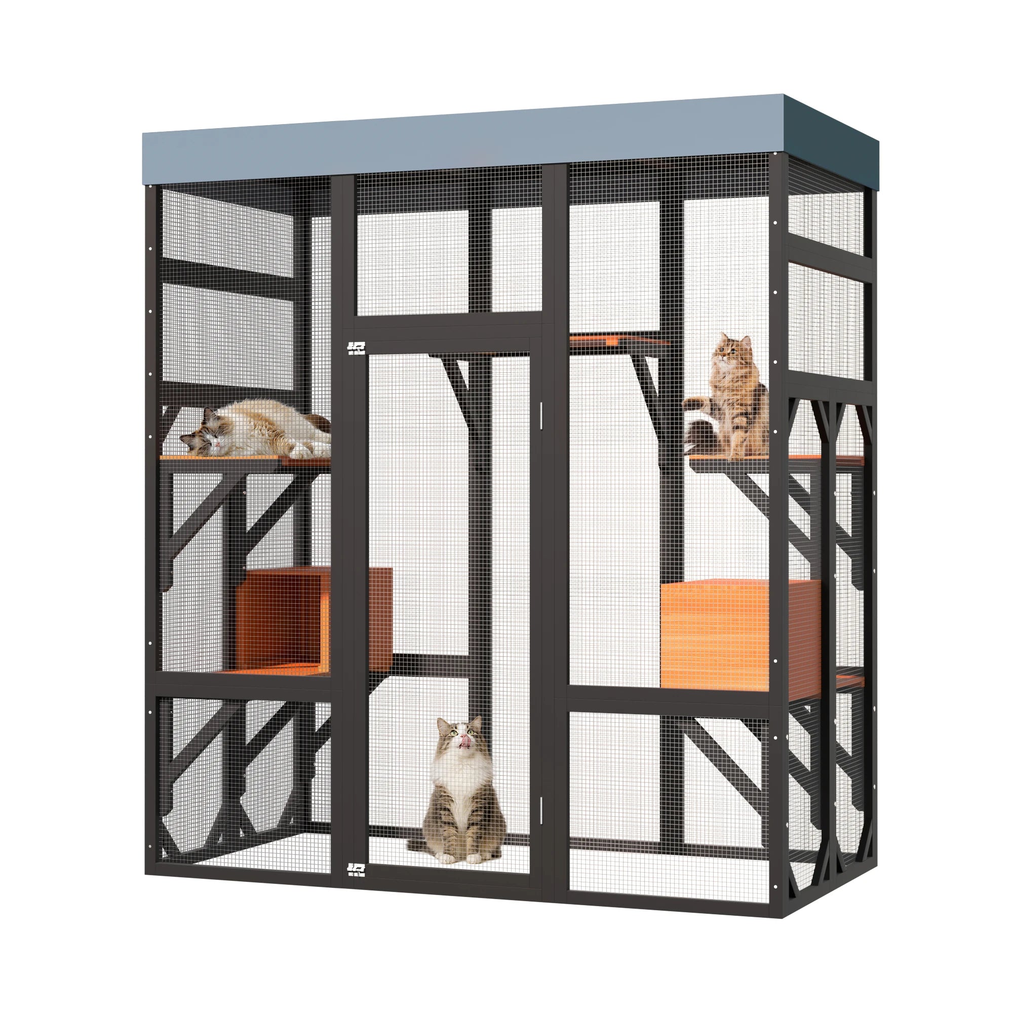 Large Cat Enclosure