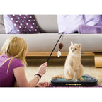 Cat Scratcher Toy with Catnip