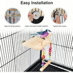 Wooden Bird Play Gym Stand