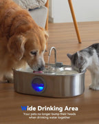 Stainless Steel Pet Water Fountain