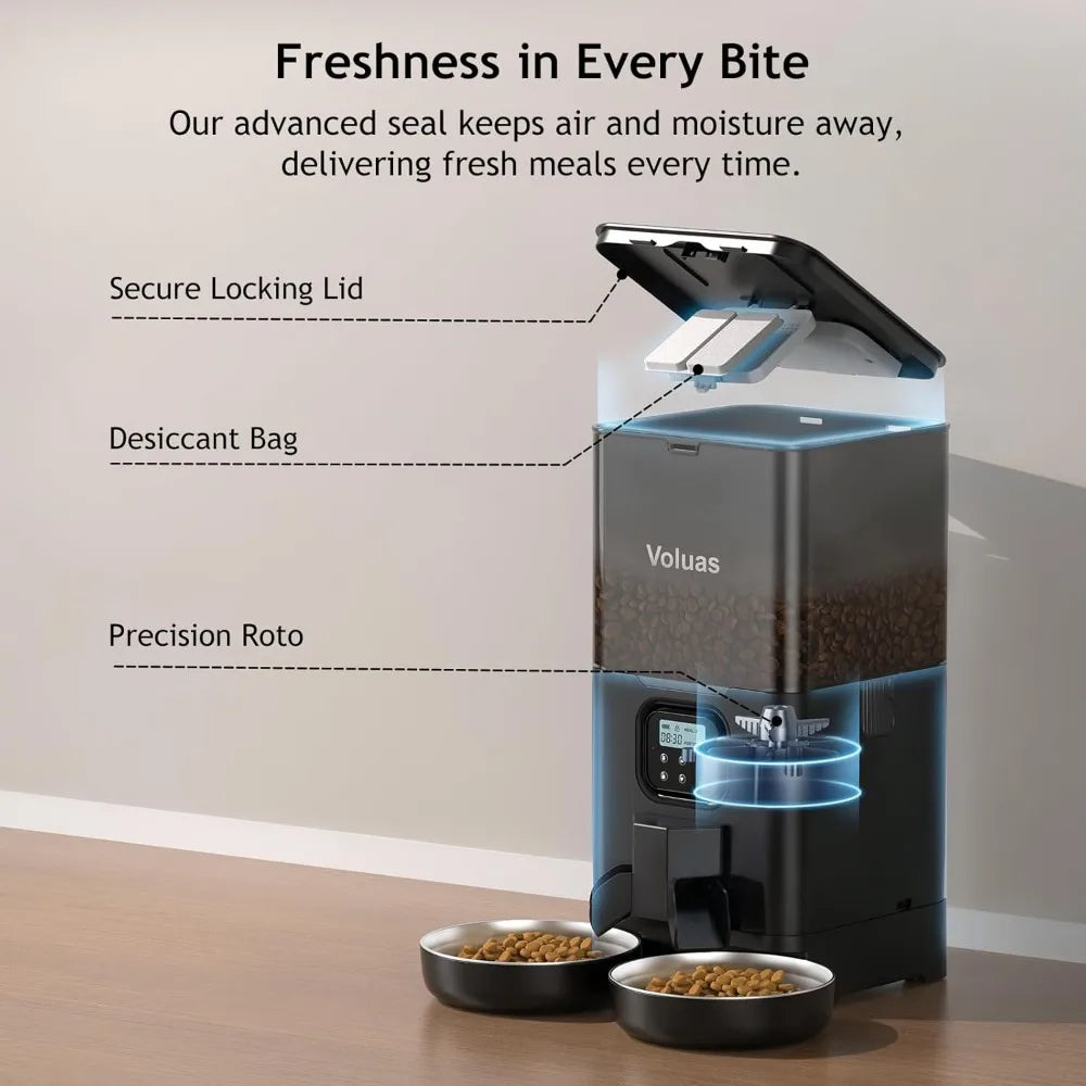Automatic Cat Feeder for Two Cats