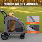 Pet Stroller