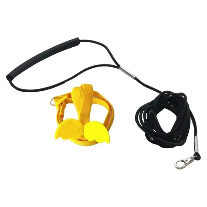 Bird Harness/Leash Training