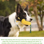 Indestructible Dog Chew Toy