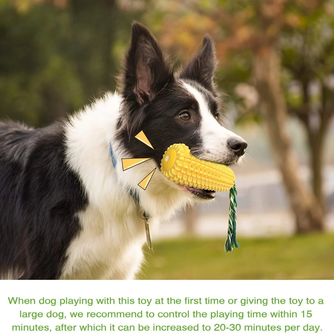 Indestructible Dog Chew Toy