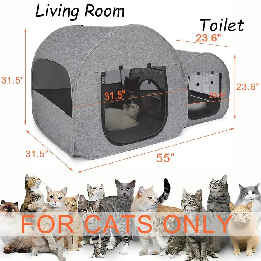 Delivery Room, Postop Recovery