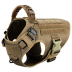 Large Dog Harness/Leash Set