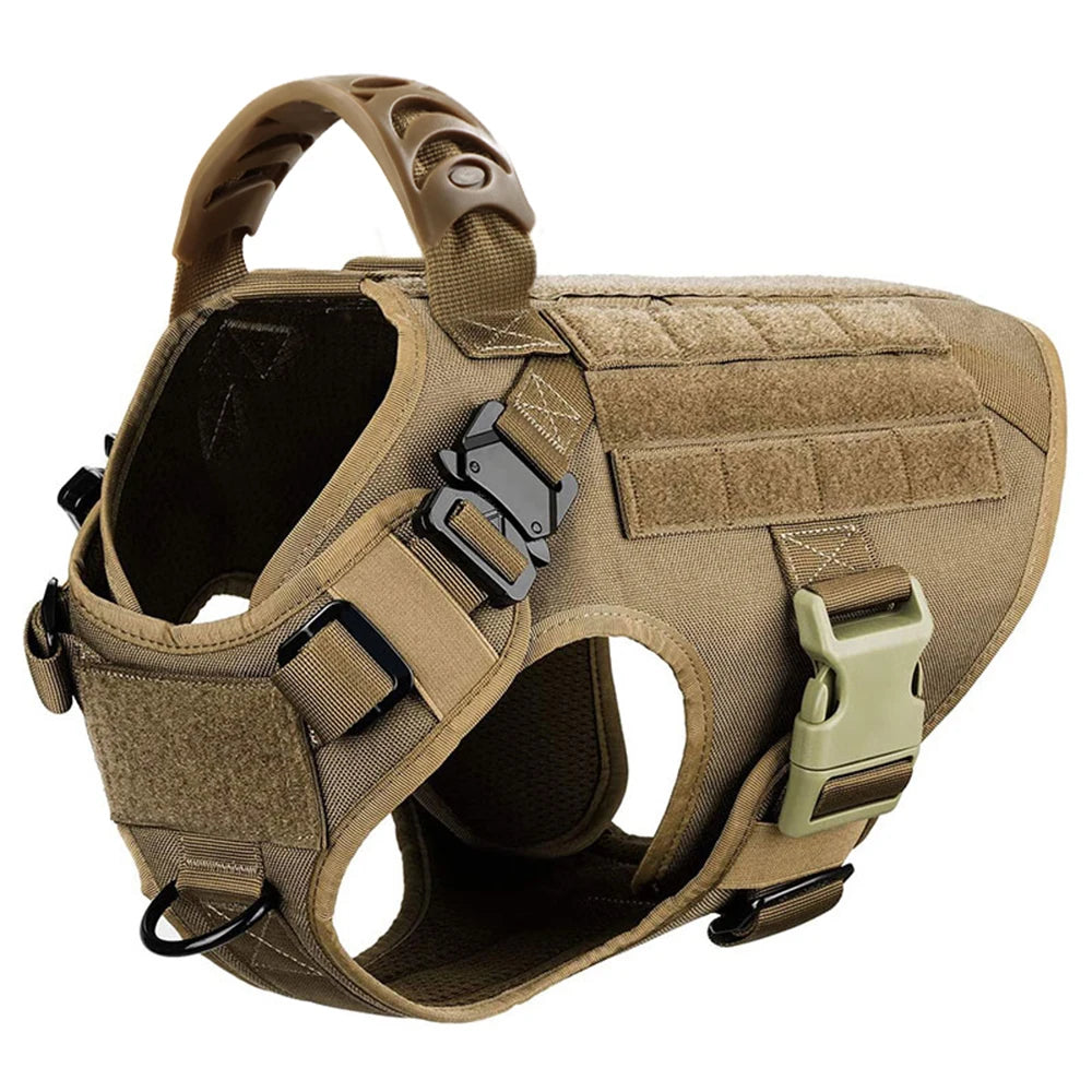 Large Dog Harness/Leash Set