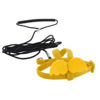 Bird Harness/Leash Training
