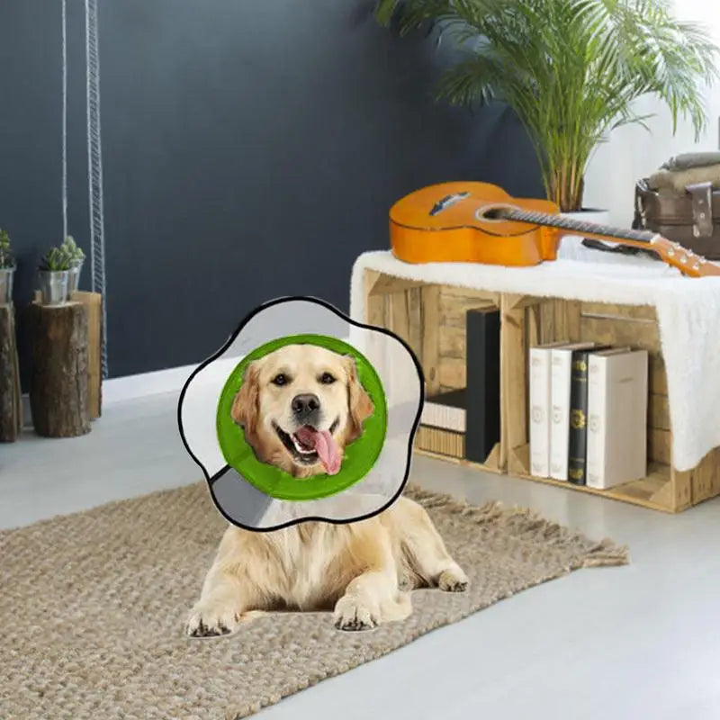 Pet Recovery Dog Cones