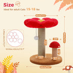 Small Cat Scratching Posts