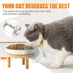 Elevated Ceramic Cat Bowls