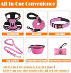 Training Kit for Dogs