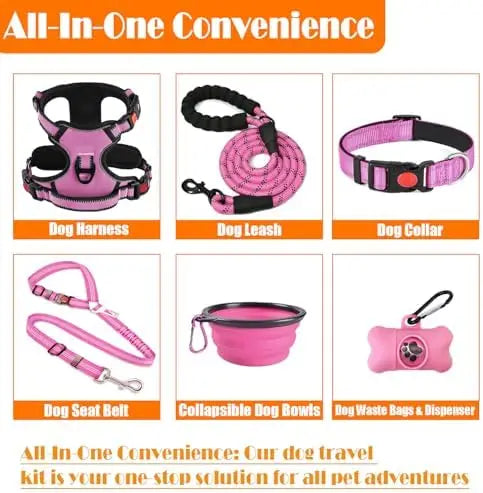 Training Kit for Dogs