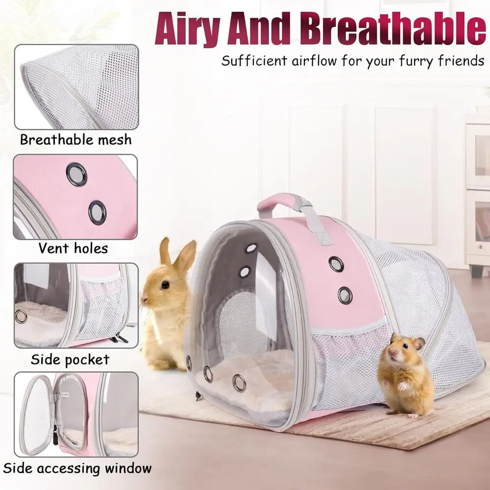 Backpack for Small Animals