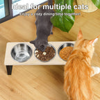 Elevated Cat Bowls