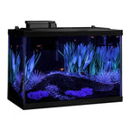 Color-Fusion 20 Gallon Fish Tank Kit