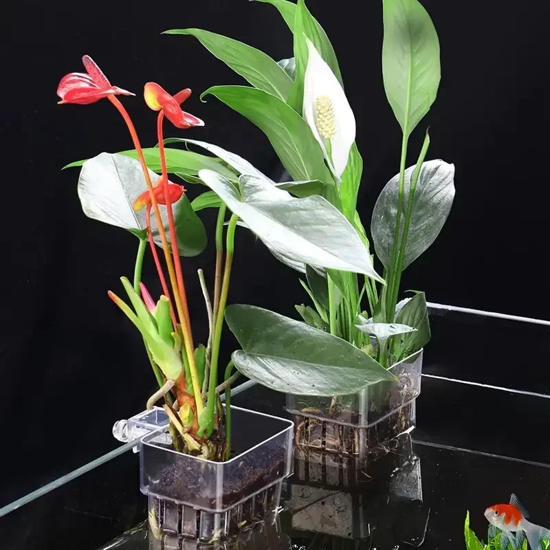 1PC Hydroponic Planting Cup