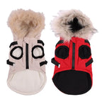 Winter Dog Jacket With Harness