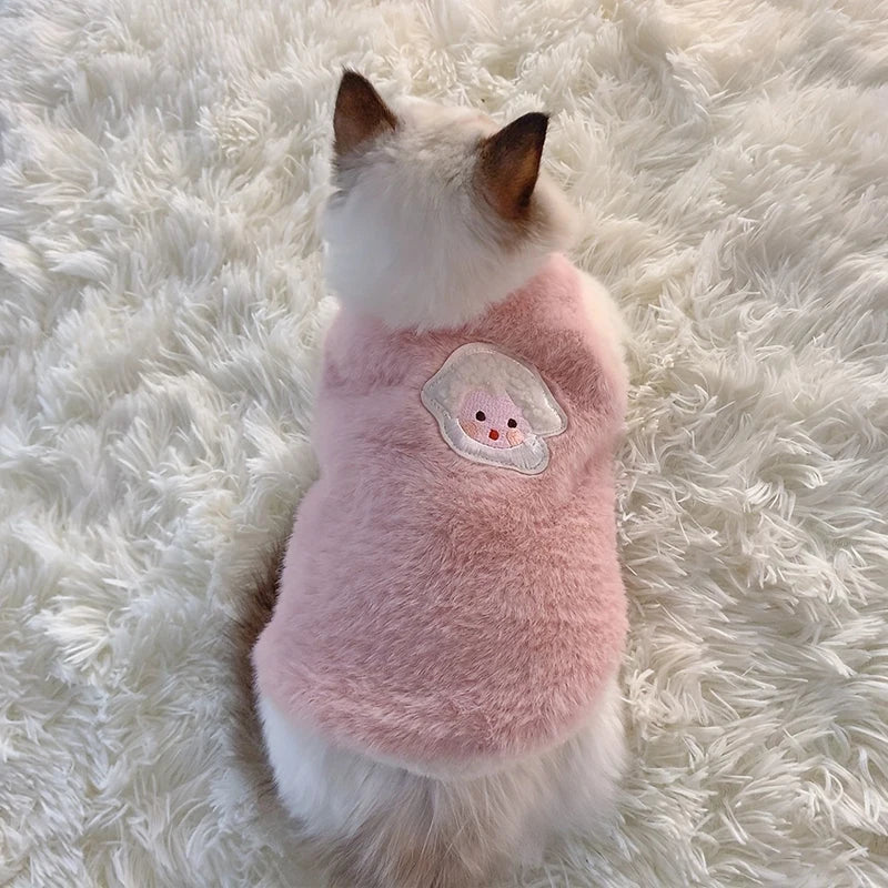 Cats Warm Kittens Clothes