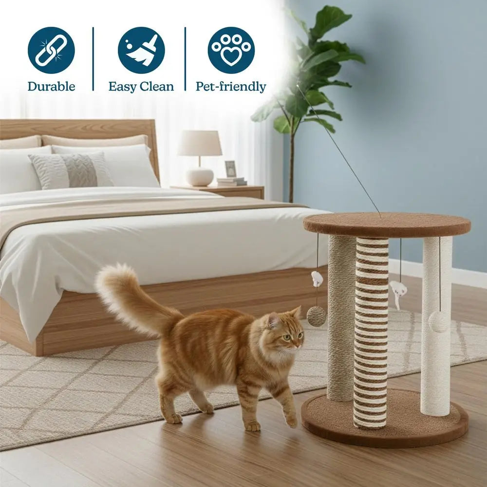 Scratching Post 3 Posts