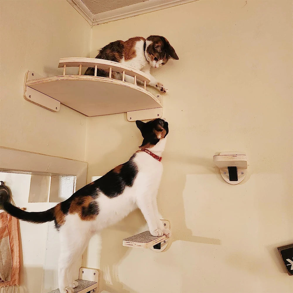 Cat Climbing Shelf, Wall Mounted