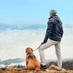 Stainless Steel Dog Training Collar